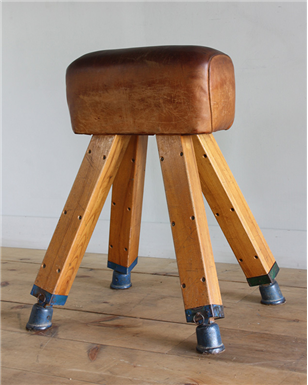 pommel Horse blue feet