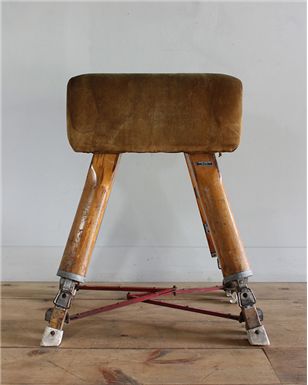 pommel horse blue feet