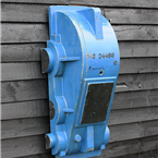 Large Blue Mold
