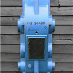 Large Blue Mold