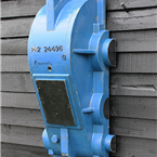 Large Blue Mold