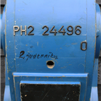 Large Blue Mold