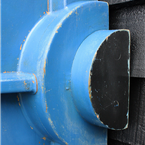 Large Blue Mold