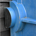 Large Blue Mold