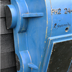 Large Blue Mold