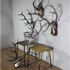 Mounted Deer/Ram Antlers