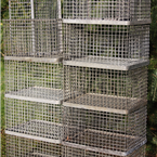 Metal Wire Crates